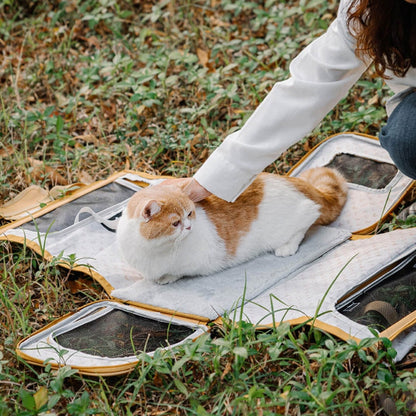 Portable Foldable Breathable Designer Dog & Cat Carrier | Becrux