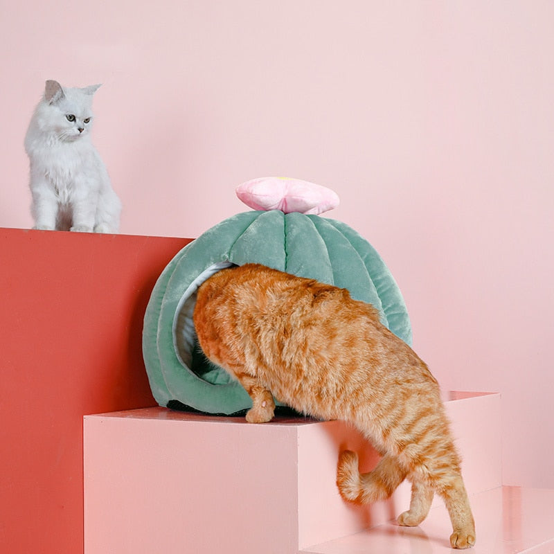 Cactus Cat Cave with Removable Cushion | Lirae