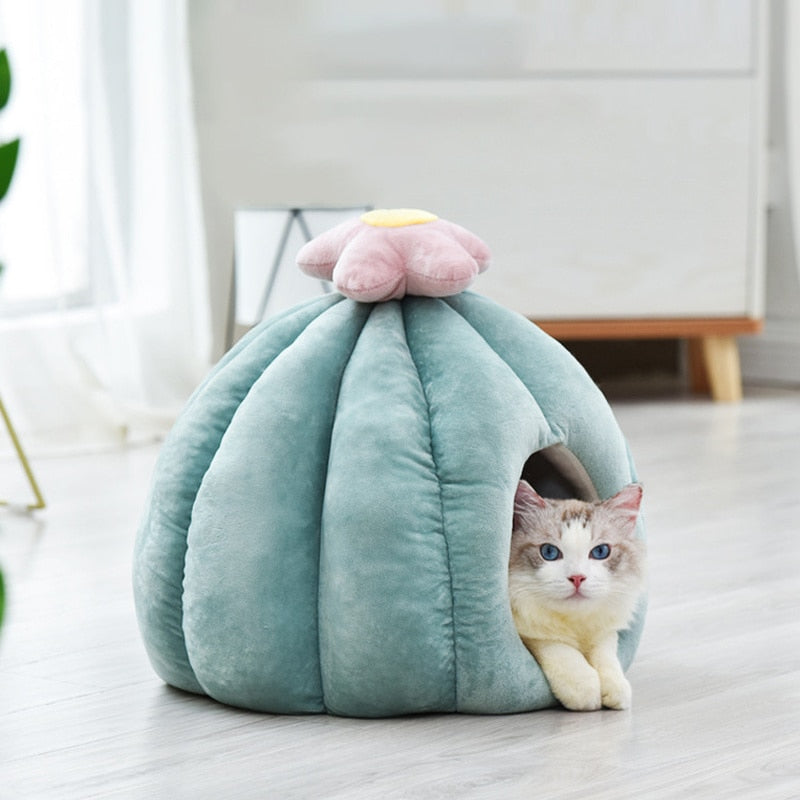 Cactus Cat Cave with Removable Cushion | Lirae